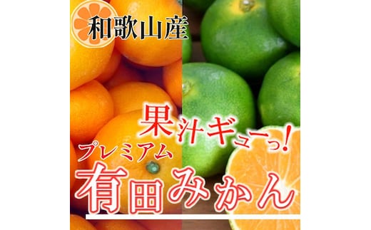 プレミアム 有田みかん5kg+250g（傷み補償分）［2025年10月上旬から2026年1月下旬頃順次発送予定］［IKE250］