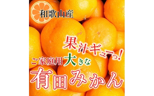家庭用 大きな有田みかん5kg+250g（傷み補償分）［2025年11月中旬から2026年1月下旬頃順次発送予定］［IKE244］