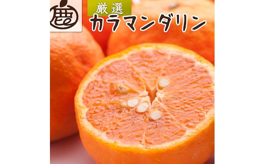 厳選 カラマンダリン 10kg+250g（傷み補償分）［南津海・なつみ］［希少な春柑橘］［みかんと同じように食べられます］ ［IKE281］