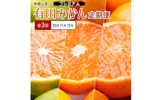厳選 柑橘定期便SS（10～12月）全3回【みかん定期便お試し版】［IKE284］