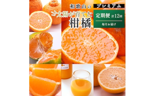 厳選 柑橘定期便S（毎月）全12回［IKE285］