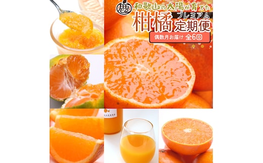厳選 柑橘定期便S（偶数月）全6回［IKE286］