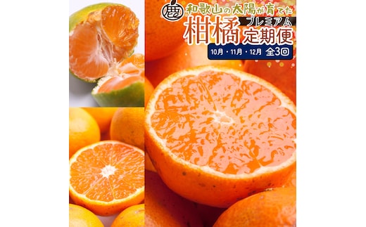 厳選 柑橘定期便S（10～12月）全3回 ［IKE291］