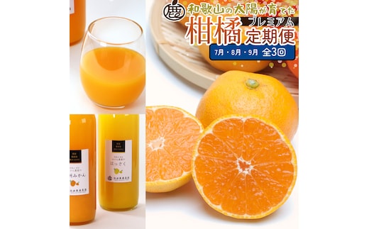 厳選 柑橘定期便M（7～9月）全3回 ［IKE297］