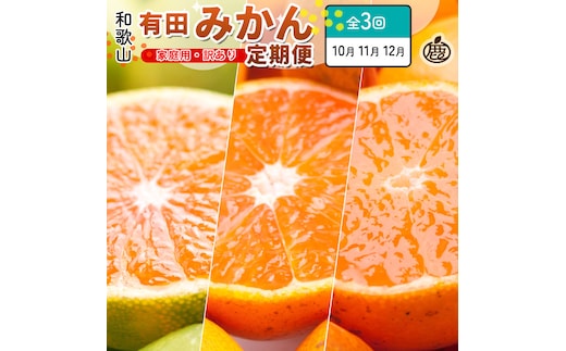 家庭用 柑橘定期便SS（10～12月）全3回【みかん定期便お試し版】 ［IKE299］