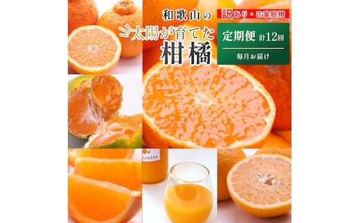 家庭用 柑橘定期便S（毎月）全12回 ［IKE300］