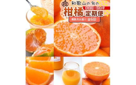 家庭用 柑橘定期便S（偶数月）全6回 ［IKE302］