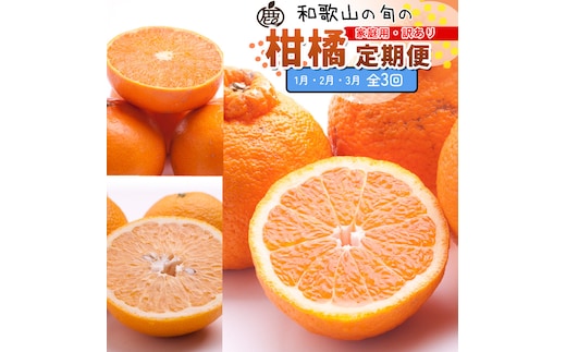 家庭用 柑橘定期便S（1～3月）全3回 ［IKE303］