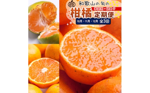 家庭用 柑橘定期便S（10～12月）全3回 ［IKE306］