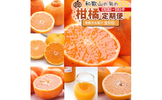 家庭用 柑橘定期便M（奇数月）全6回 ［IKE308］