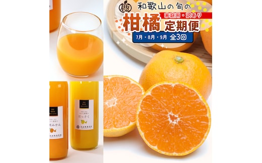 家庭用 柑橘定期便M（7～9月）全3回 ［IKE312］