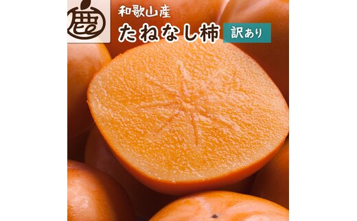 ［先行予約］家庭用 たねなし柿 約7.5kg［訳あり］［刀根早生・平核無柿（ひらたねなしかき）］［カキ・種無柿・種無し柿・種なし柿・無核柿］［IKE320］
