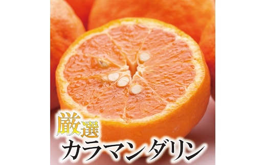 ［先行予約］厳選 カラマンダリン1kg+250g（傷み補償分）［南津海・なつみ］［希少な春柑橘］［みかんと同じように食べられます］［IKE65］