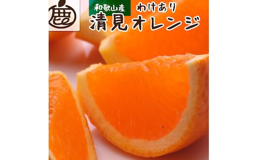 家庭用 清見オレンジ10kg+250g（傷み補償分）［光センサー食頃出荷］［樹上完熟きよみオレンジ・清見タンゴール・清美］［わけあり・訳あり］［IKE64］
