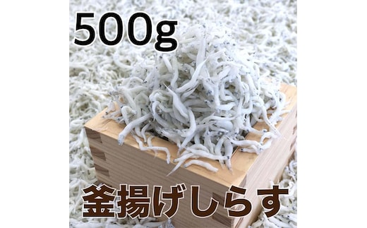 釜揚げしらす500g 【DN1】