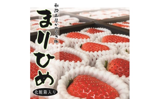超特選☆いちご【まりひめ】2026年1月中旬から3月下旬まで発送【KF8】