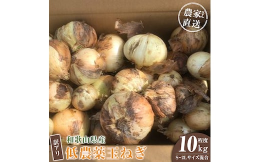 ［2026年発送分・先行予約］訳あり 農家さん直送 低農薬玉ねぎ 10kg程度 S～2L混合［4月中旬～7月中旬頃発送予定］ご家庭用 ※傷有り［KF14］