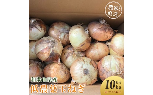 ［2026年発送分・先行予約］農家さん直送 低農薬玉ねぎ 2Lサイズ以上 10kg程度［4月中旬～7月中旬頃発送予定］［KF15］