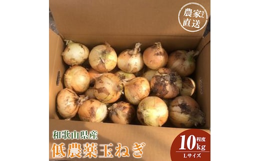 ［2026年発送分・先行予約］農家さん直送 低農薬玉ねぎ Lサイズ 10kg程度［4月中旬～7月中旬頃発送予定］［KF16］