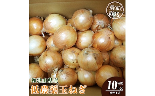 ［2026年発送分・先行予約］農家さん直送 低農薬玉ねぎ Mサイズ 10kg程度［4月中旬～7月中旬頃発送予定］［KF17］