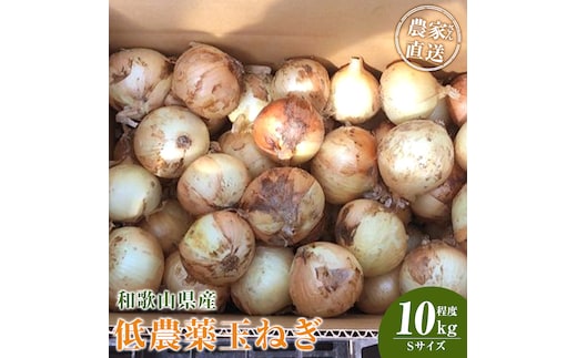 ［2026年発送分・先行予約］農家さん直送 低農薬玉ねぎ Sサイズ 10kg程度［4月中旬～7月中旬頃発送予定］［KF18］