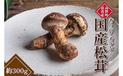 和歌山県産 香り高く希少な国産 松茸 約300g【2026年10月中旬頃より順次発送】【OKT2】