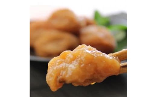 紀州南高梅 白干梅干し 500g ご家庭用 【US34】