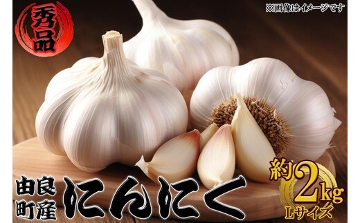 由良町産にんにく 秀品 Ｌサイズ 約2kg(1kg×2)【SL19】