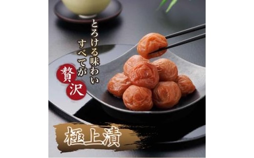 紀州南高梅 紀州極上漬 850g×1箱 ［Kn1］