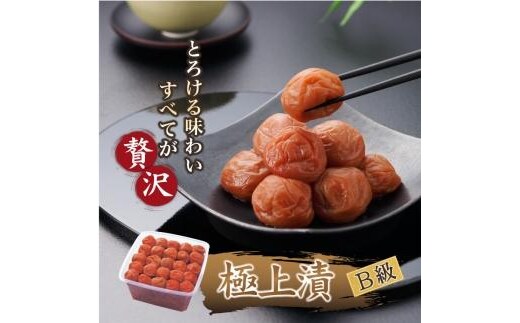 紀州南高梅 徳用 紀州極上漬 1.5kg×1箱 ［Kn6］