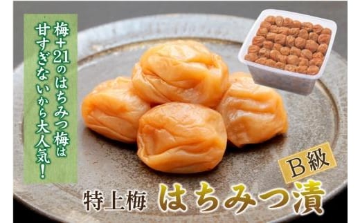 紀州南高梅 徳用 はちみつ梅 1.5kg×1箱 ［Kn7］