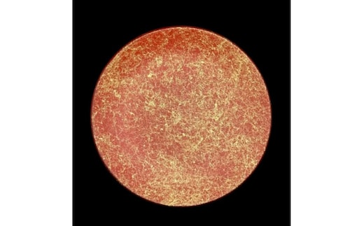 フラットプレート（D）乱糸（マット仕上げ）本朱［NF106］