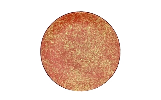 丸小皿 乱糸（マット仕上げ）本朱［NF181］