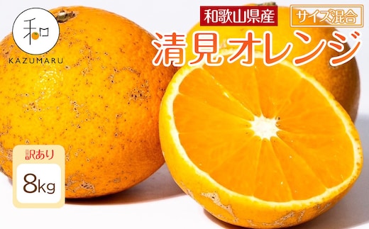 訳あり 森本農園の手選別 清見オレンジ 8kg 和歌山県産 サイズ混合 ［北海道・沖縄・離島配送不可］［RN25］［2026年2月上旬から5月中旬頃順次発送予定］