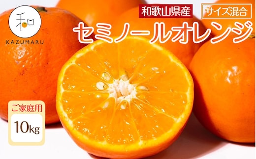 家庭用 森本農園の手選別 セミノールオレンジ 10kg 和歌山県産 サイズ混合 ［北海道・沖縄・離島配送不可］［RN37］［2026年4月中旬から順次発送］