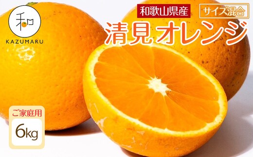 家庭用 森本農園の手選別 清見オレンジ 6kg 和歌山県産 サイズ混合 ［北海道・沖縄・離島配送不可］［RN38］［2026年2月上旬から5月中旬頃順次発送予定］