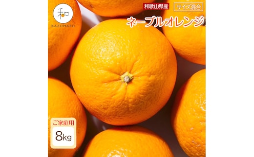 家庭用 森本農園の手選別ネーブルオレンジ 約8kg 和歌山県産 サイズ混合 ［北海道・沖縄・離島配送不可］［RN46］［2026年1月上旬から順次発送］★