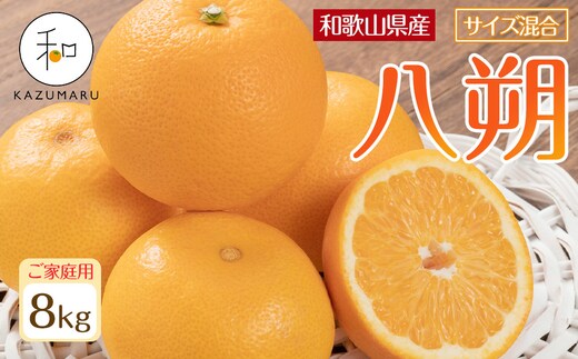 家庭用 森本農園の手選別 八朔 約8kg 和歌山県産 サイズ混合 ［北海道・沖縄・離島配送不可］［2026年1月中旬から2月中旬頃順次発送予定］［RN116］