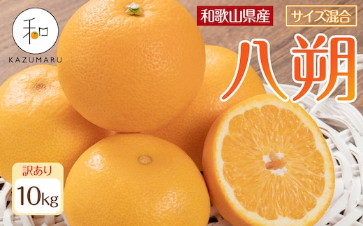 訳あり 森本農園の手選別 八朔 約10kg 和歌山県産 サイズ混合 ［北海道・沖縄・離島配送不可］［2026年1月中旬から2月中旬頃順次発送予定］［RN121］