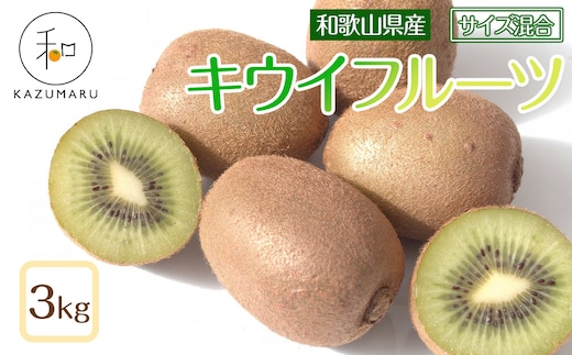 森本農園の キウイフルーツ 約3kg 和歌山県産 サイズ混合 ［北海道・沖縄・離島配送不可］［2026年2月上旬から順次発送予定］［RN126］