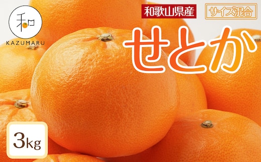 森本農園の手選別 せとか 約3kg 和歌山県産 サイズ混合 ［北海道・沖縄・離島配送不可］［2026年2月上旬から順次発送予定］［RN130］