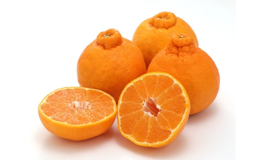 訳あり 森本農園の手選別 不知火 約8kg 和歌山県産 サイズ混合［北海道・沖縄・離島配送不可］［RN140］