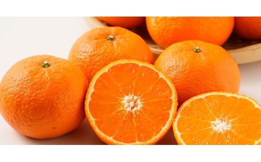 家庭用 森本農園の手選別 津の輝 約5kg 和歌山県産 サイズ混合［北海道・沖縄・離島配送不可］［RN147］