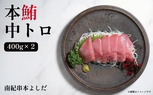 南紀串本よしだ 本鮪 中トロ サク 400g×2 合計 800g