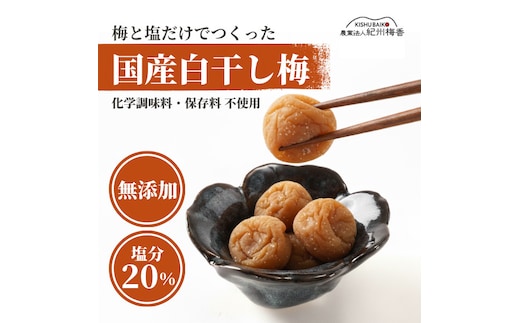 無添加 塩だけ 昔ながらの梅干し 南高梅 紀州梅香 完熟 白干し梅 訳あり つぶれ梅1kg （500gパック×2個） 塩分20% 20-G ［KU14］