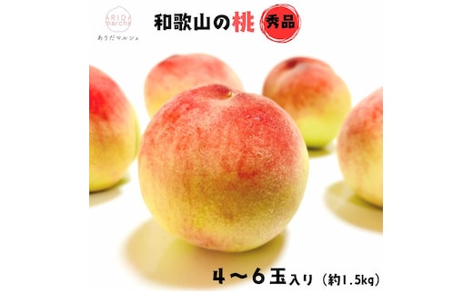 《先行予約・2026年6月～発送》厳選 和歌山のこだわり桃 4～6玉 (約1.5kg)［MS130］