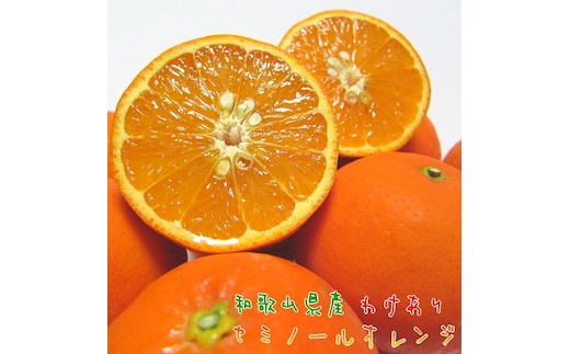 有田育ちの セミノールオレンジ (ご家庭用) 約7.5kg［先行予約・2027年4月～発送］［MS57］