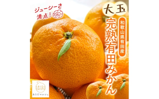 迫力満点 大粒 有田みかん 約4kg［先行予約］［果汁たっぷり］［MS15］