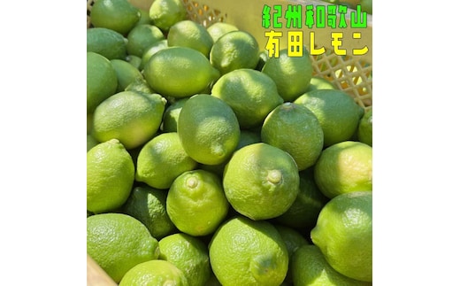 紀州和歌山 有田レモン 約2kg［農家直送］［先行予約］［MS67］