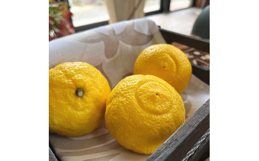 特選 完熟 はるかみかん 約3kg［先行予約］［MS54］